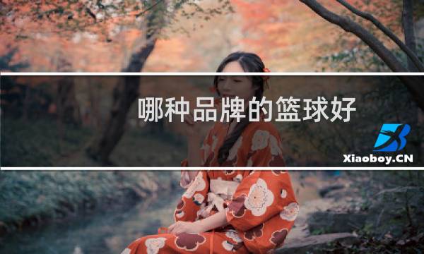 哪种品牌的篮球好图片