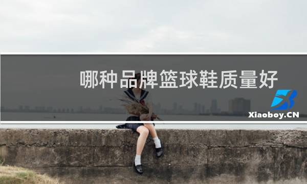 哪种品牌篮球鞋质量好图片