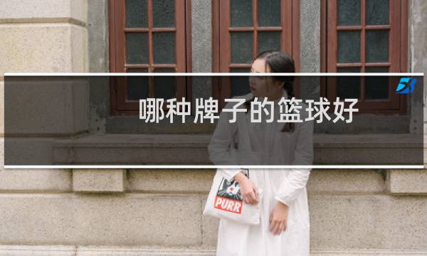哪种牌子的篮球好图片