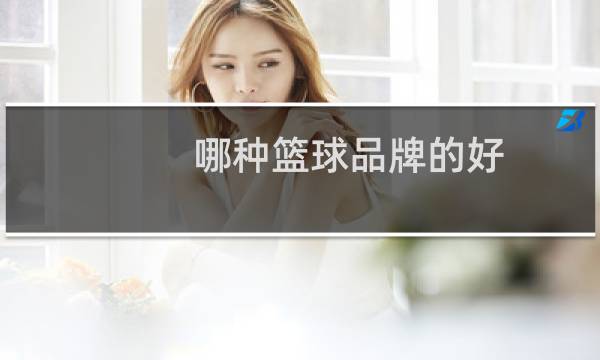 哪种篮球品牌的好图片