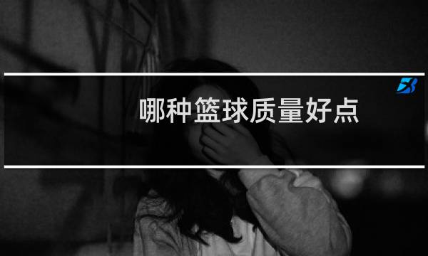 哪种篮球质量好点图片