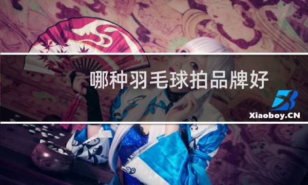 哪种羽毛球拍品牌好图片