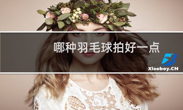 哪种羽毛球拍好一点图片