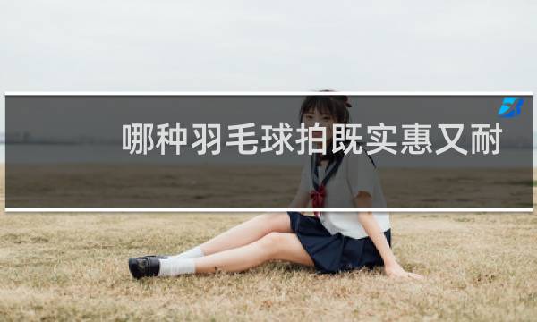 哪种羽毛球拍既实惠又耐打图片