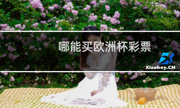 哪能买欧洲杯彩票图片