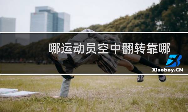 哪运动员空中翻转靠哪图片