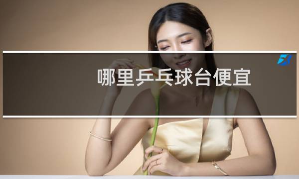 哪里乒乓球台便宜图片