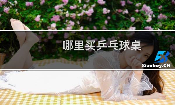 哪里买乒乓球桌图片