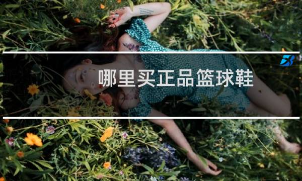 哪里买正品篮球鞋图片