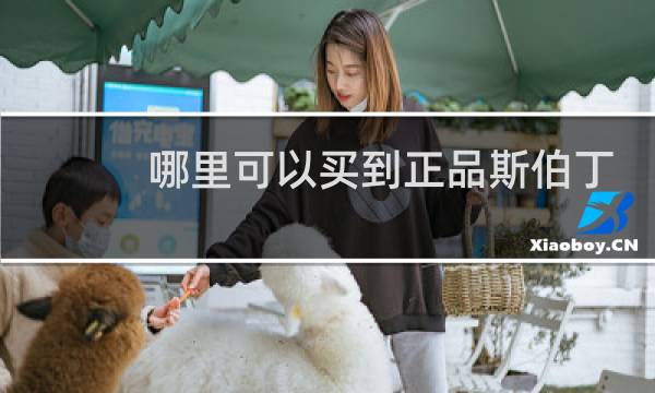 哪里可以买到正品斯伯丁篮球图片