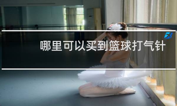 哪里可以买到篮球打气针图片