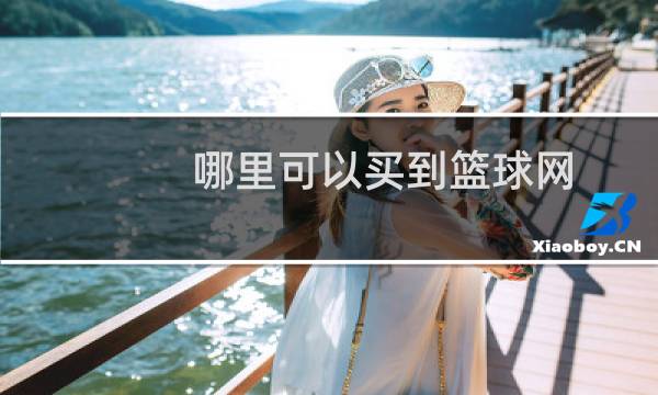 哪里可以买到篮球网图片