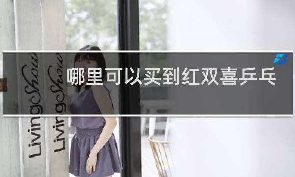 哪里可以买到红双喜乒乓球拍图片