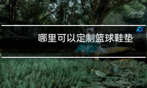 哪里可以定制篮球鞋垫图片