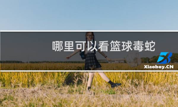 哪里可以看篮球毒蛇图片