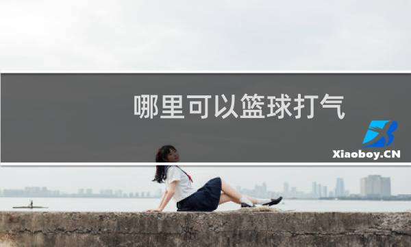 哪里可以篮球打气图片