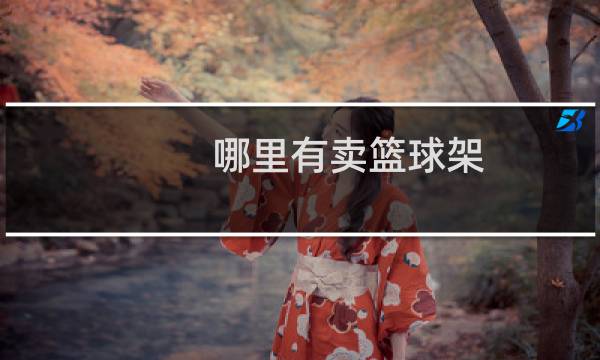 哪里有卖篮球架图片
