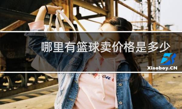 哪里有篮球卖价格是多少钱图片
