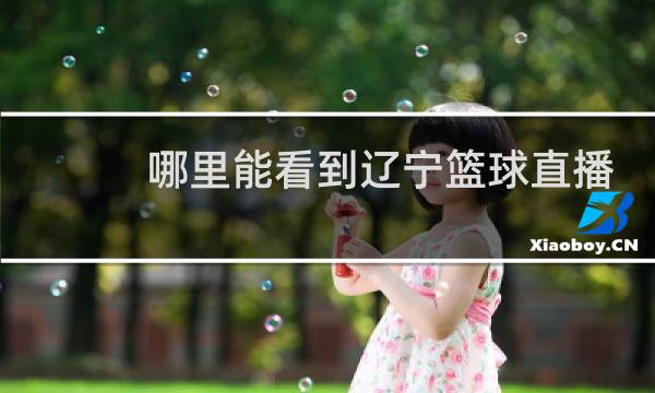 哪里能看到辽宁篮球直播图片