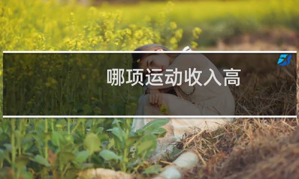哪项运动收入高图片