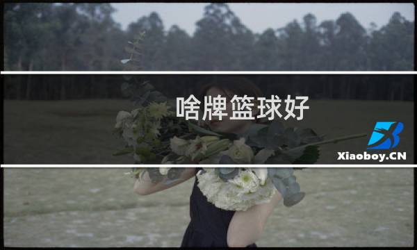 啥牌篮球好图片