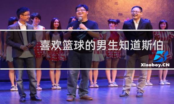 喜欢篮球的男生知道斯伯丁吗图片