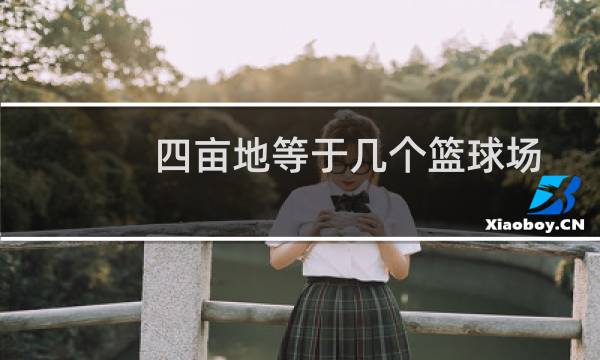 四亩地等于几个篮球场图片
