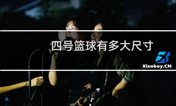 四号篮球有多大尺寸图片