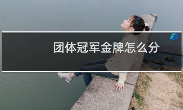 团体冠军金牌怎么分图片