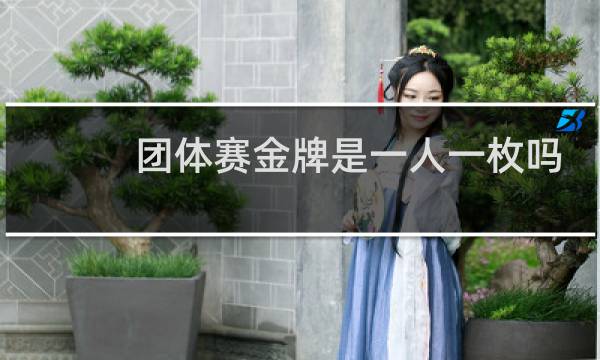 团体赛金牌是一人一枚吗图片