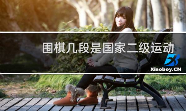 围棋几段是国家二级运动员图片