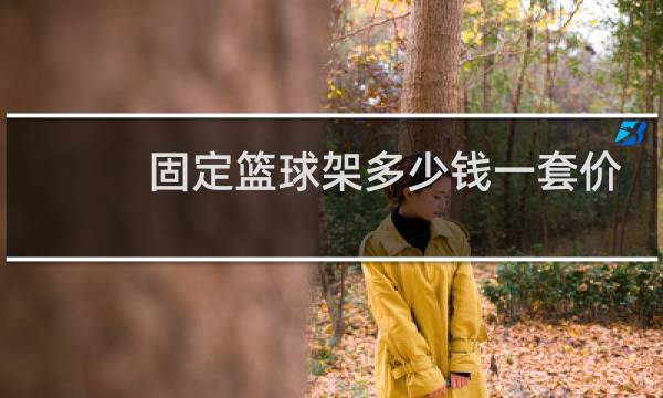 固定篮球架多少钱一套价格图片