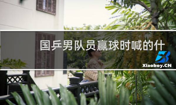 国乒男队员赢球时喊的什么图片