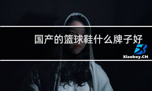 国产的篮球鞋什么牌子好啊图片