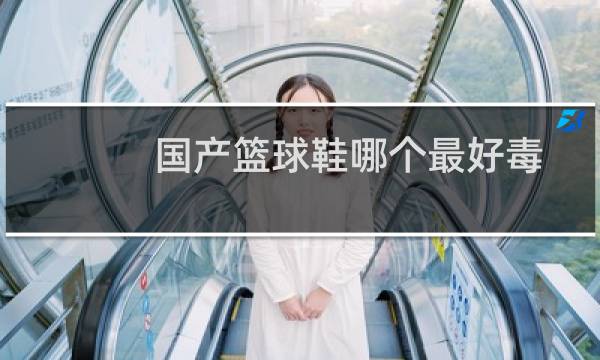 国产篮球鞋哪个最好毒图片