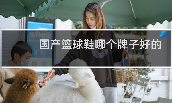 国产篮球鞋哪个牌子好的性能高图片