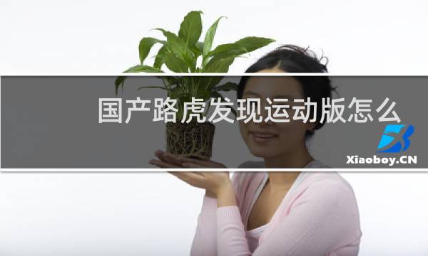 国产路虎发现运动版怎么样图片