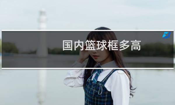 国内篮球框多高图片