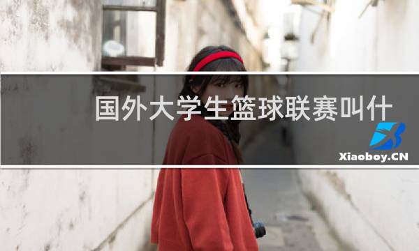 国外大学生篮球联赛叫什么图片