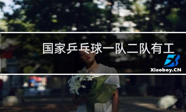 国家乒乓球一队二队有工资吗图片