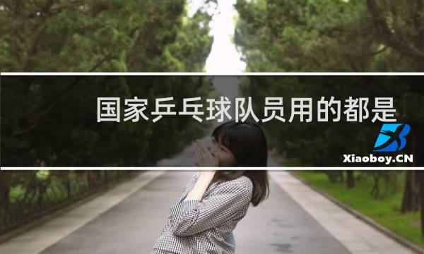 国家乒乓球队员用的都是什么拍图片