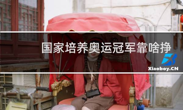国家培养奥运冠军靠啥挣钱图片