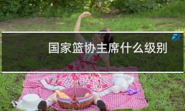 国家篮协主席什么级别图片