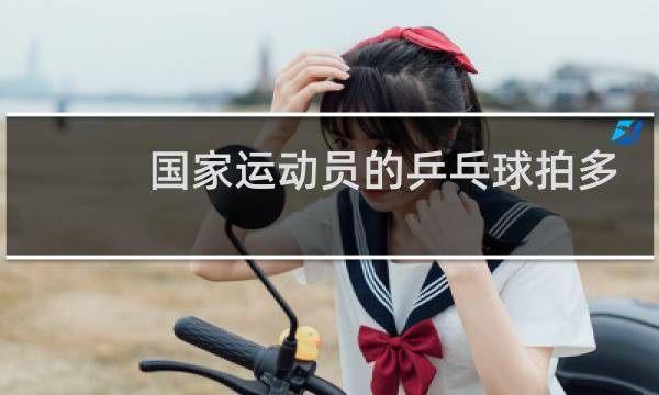 国家运动员的乒乓球拍多少钱图片