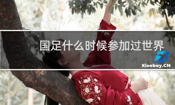 国足什么时候参加过世界杯图片