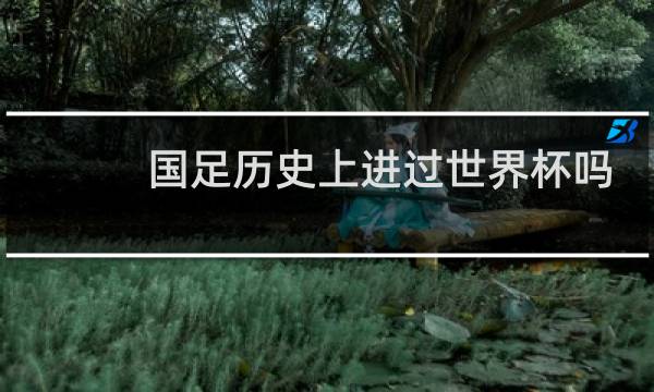 国足历史上进过世界杯吗图片