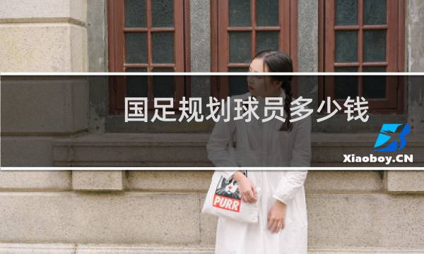 国足规划球员多少钱图片