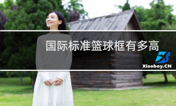 国际标准篮球框有多高图片