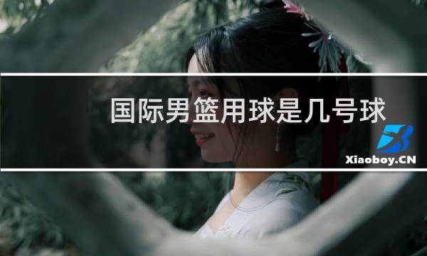 国际男篮用球是几号球图片