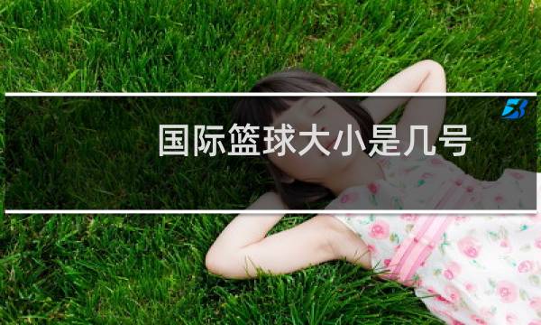 国际篮球大小是几号图片